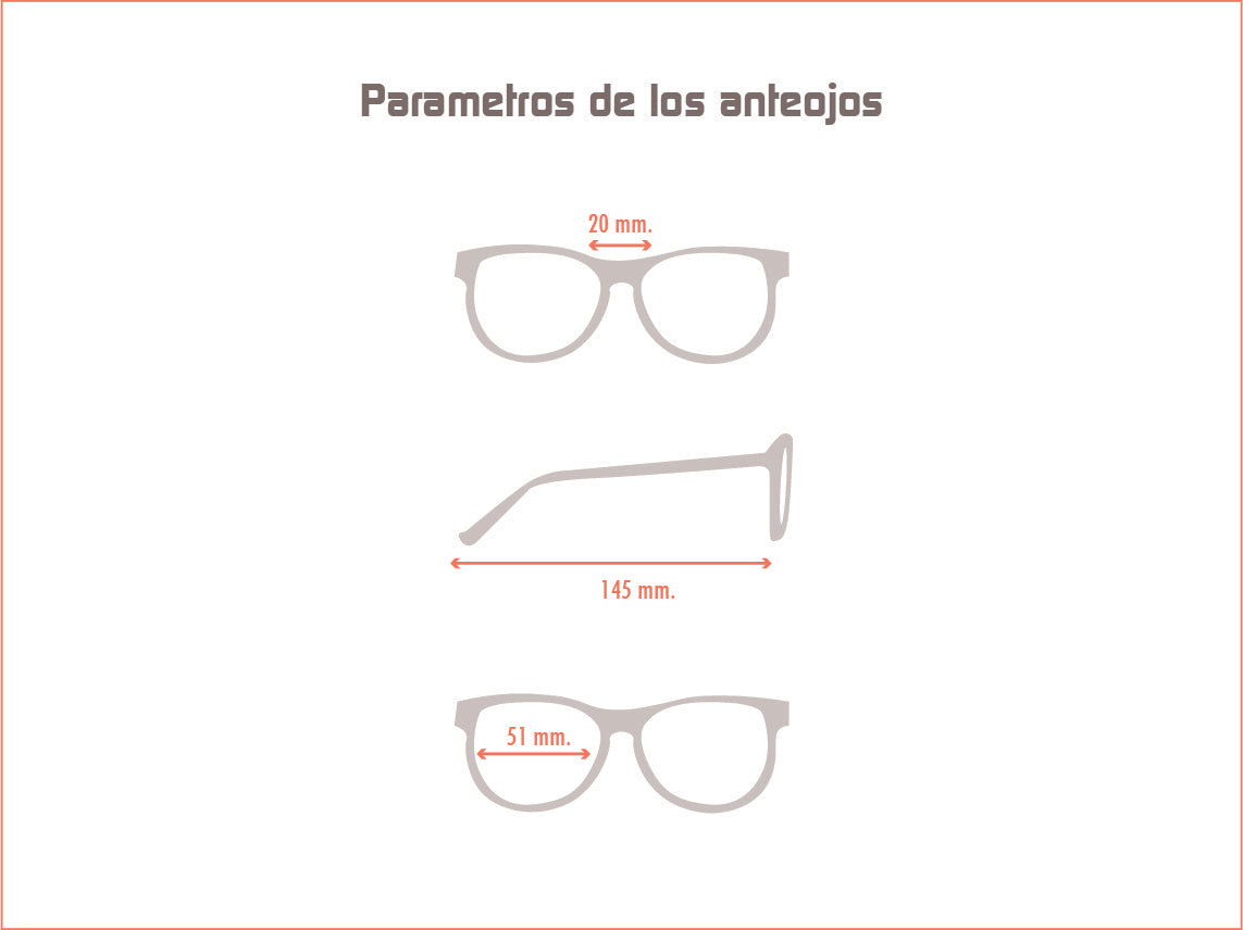 Ray Ban
