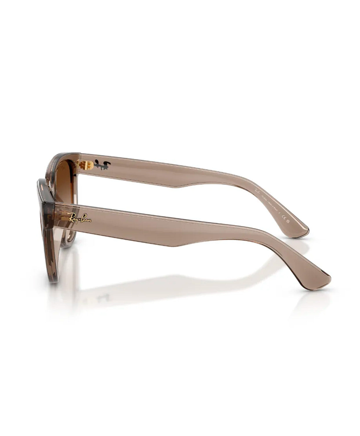 Ray Ban lente de sol marrón
