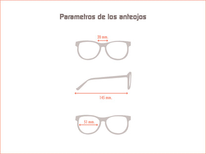 Ray Ban
